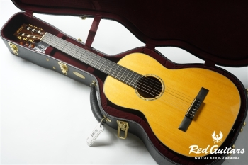 00-Nylon w/FISHMAN Matrix VT Enhance